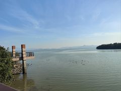 -深圳湾公园(南山区)