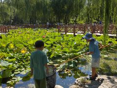 -丰台科技园生态主题公园