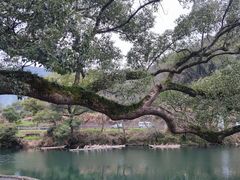-上坦村