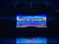 -横店影视城梦幻谷园区