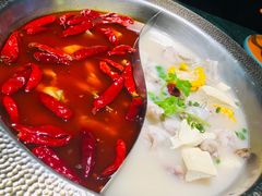 -麻田会 ·鲜活现烹·牛蛙火锅(珠江新城维家思广场店)