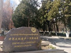 -罗布林卡