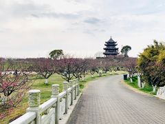 -上海海湾国家森林公园