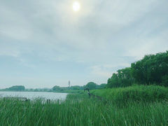 -苏州太湖湖滨国家湿地公园