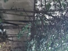 -上海市公安局交通警察总队车辆管理所三分所