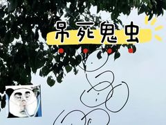 -西湖风景区十里琅珰-五云山