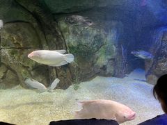 -泉城欧乐堡海洋极地世界