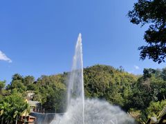 -西双版纳原始森林公园