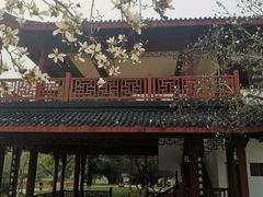 -堤角公园
