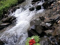 -硗碛藏寨·神木垒景区