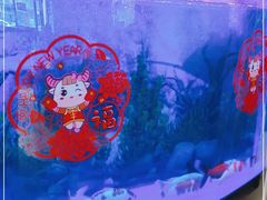 -陈记麻辣烫(浦口道店)
