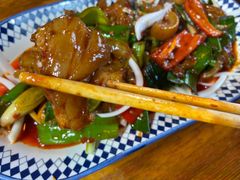 -柴窝堡22号辣子鸡·传承新疆菜