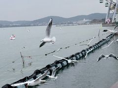 -蠡湖大桥公园