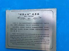 -合肥野生动物园