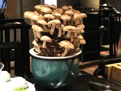 -捞王锅物料理(凯旋路店)