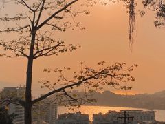 -鸿山公园