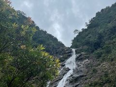 -海南热带雨林国家公园吊罗山景区
