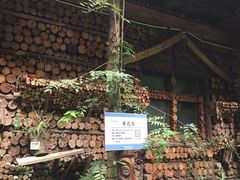 -呀路古热带植物园