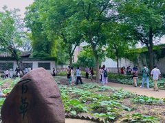 -绍兴鲁迅故里·沈园景区