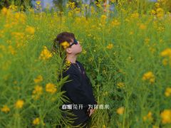 -光明小镇欢乐田园