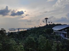 -圣淘沙天际线斜坡滑车
