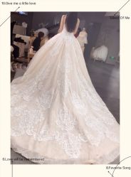 点击看大图 -艾米丽婚纱礼服