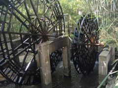 -大屏嶂森林公园