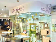 门面-喵园·猫主题咖啡厅·撸猫·猫咖(国贸店)