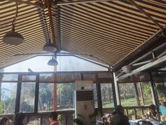 -野蔓果·山野菜(西湖景区·龙井茶田店)