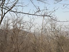 -封龙山风景区