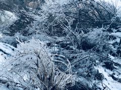 -黑龙潭风景区