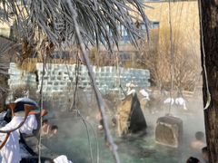 -清河半岛温泉度假酒店