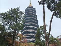 -红梅公园