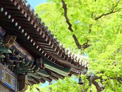 -潭柘寺景区