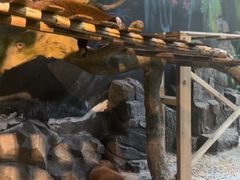 -绿色星球动物主题公园