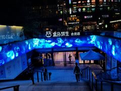 -盒马鲜生(杭州运河上街店)