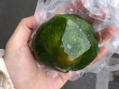 -上海紫彤友联生煎(金沙井店)