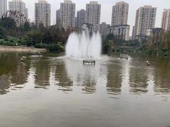 -龙头寺公园