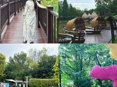 -美的鹭湖森林度假区