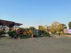 -上海长兴岛郊野公园