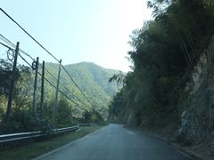 -四明山国家森林公园