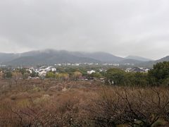 -香雪海