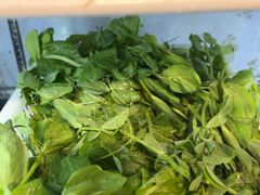 -金鼎雪山牦牛杂火锅(理县总店)