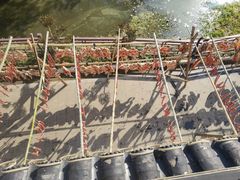 -旺山·浪头人家
