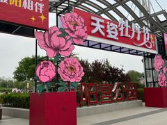 -太阳宫公园