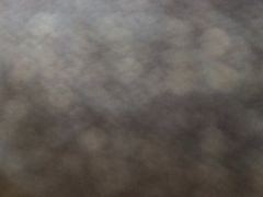 -黄阿姨锅贴大王(万航渡路店)