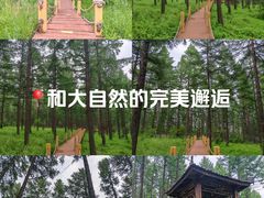 -塞罕坝国家级自然保护区