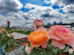 -Manner Coffee(徐汇滨江店)