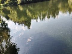 -上海滨江森林公园