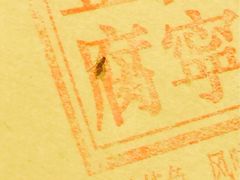 潮堂(上海环球金融中心店)-潮堂(环球金融中心店)